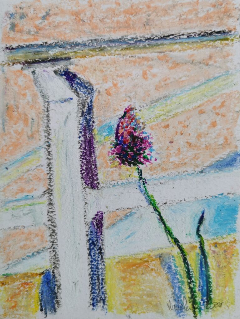 Blüte auf Balkon